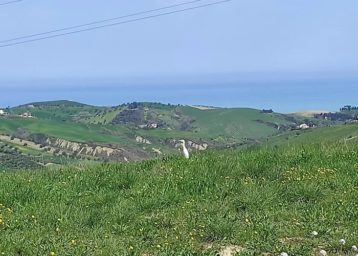 Gli Amici Del Tubarello Frühstückspension Roseto Degli Abruzzi